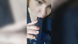 אוקראינע האָן זויגער