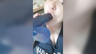 אוקראינע האָן זויגער