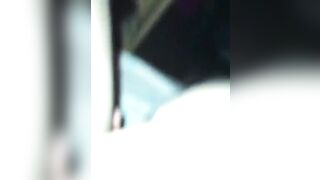 NAPOLETANA MAIALA GRAN SUCCHIA CAZZI