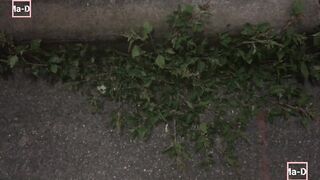 Passeggiata notturna alla stazione Cannizzaro