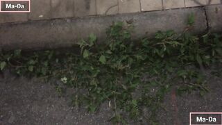 Passeggiata notturna alla stazione Cannizzaro