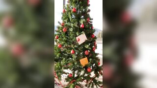 Tettona napoletana manda a tutti gli auguri di buone feste