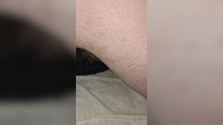 Controllatina ai buchi