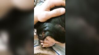 TI PIACE COME LO SUCCHIA LA MIA PORCA ?