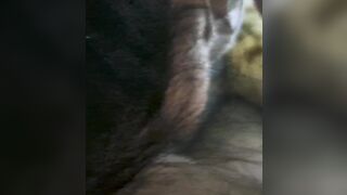 La mia mogliettina sborrata in bocca