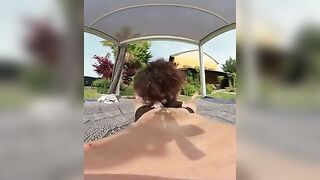 Bocchino + cavalcata a smorzacandela in VR: roba da venire in 30 secondi