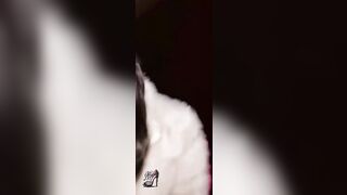 Moglie Porca Esibizionista: pompino sporco in carsex mentre guida il porco