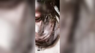 Moglie Porca Esibizionista: pompino sporco in carsex mentre guida il porco