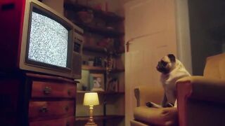 Marika Milani: pompino da dio + sega coi piedini da leccare