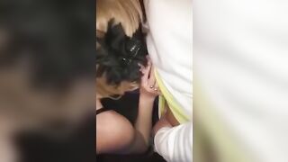 Anteprima del video: Sesso di gruppo al bar: moglie troia si fa sbattere da sconosciuti tra i tavoli