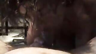 LE PORNO ESIBIZIONI DI GINA TARANTINA