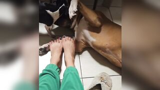 Anteprima del video: Piedini