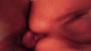 La pecorina fantastica