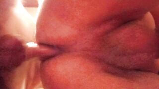 La pecorina fantastica