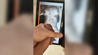 Terzo tributo per Elena