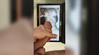 Terzo tributo per Elena