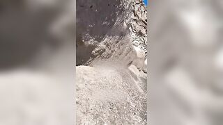 Pecorina sul litorale Campano con puttana napoletana