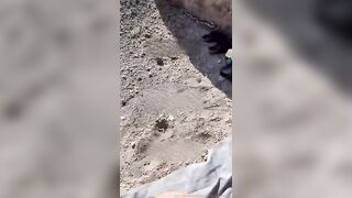 Pecorina sul litorale Campano con puttana napoletana