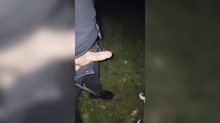 Balordo prova a metterla incinta