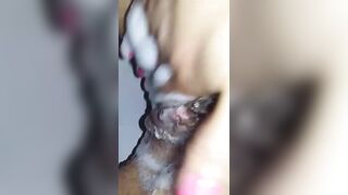 Bidet in pausa pranzo