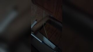 la vacca come gode con il fallo