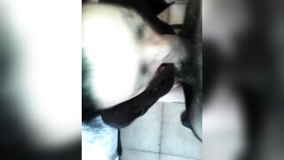 Mi piace spompinare e sono anche brava