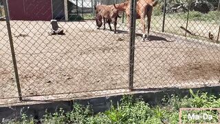 Una Domeni in un agrituriso con i parenti