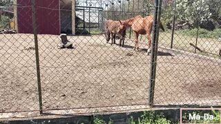 Una Domeni in un agrituriso con i parenti