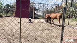 Una Domeni in un agrituriso con i parenti