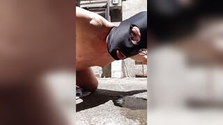 Vaccatrav piscia per terra e lecca