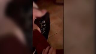 Cornuto guarda la moglie troia sfondata sul divano dal bull