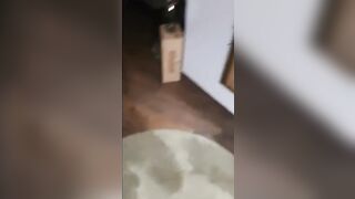 Teen italiana con occhiali ti succhia il cazzo in pov da fidanzata