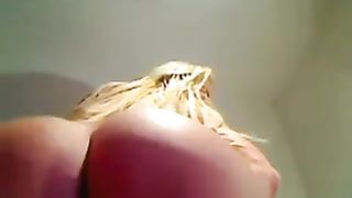 Porno webcam show con bionda tettona