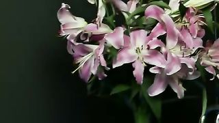 Litigano e poi fanno sesso violento