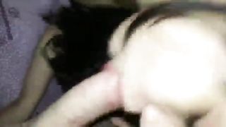 Pompino di una ragazza ferrarese