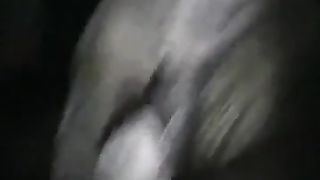 Biondina succhia una mazza negra