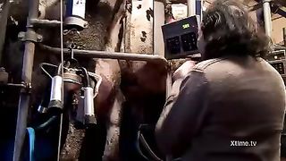 Il porno di Rosario Muniz