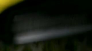 Sveltina sulla statale