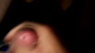 Sega in auto da Bergamo