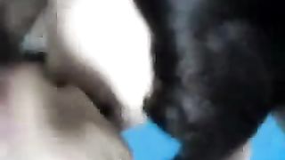 Pompino con sborrata sui capelli