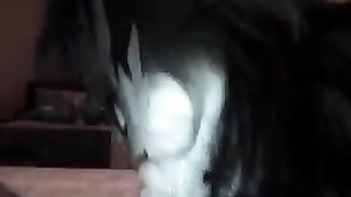 La mia mogliettina mi divora la minchia