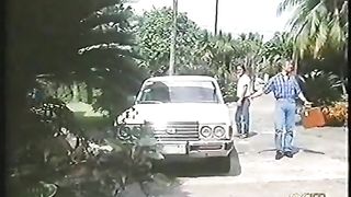 L'alcova dei Piaceri Proibiti FILM PORNO