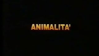 Animalità FILM PORNO