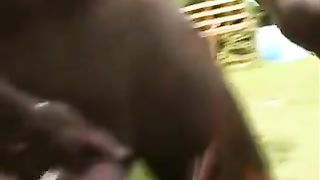 Sex Party Italiano parte 4