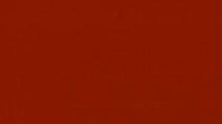 Sessualità Bestiale FILM PORNO