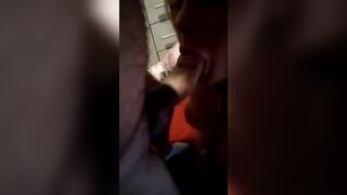 Anteprima del video: Trans: che POMPINO gli fa in gola