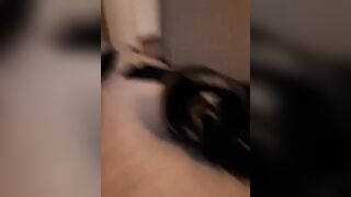 Fidanzata fa il broncio poi gli prende il cazzo in bocca