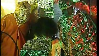 Extra Terrestre FILM PORNO