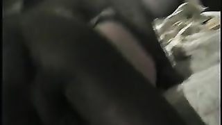 Fa fottere la moglie da 2 bull di colore