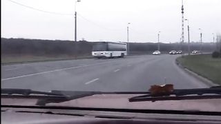 La Cena di Natale FILM PORNO